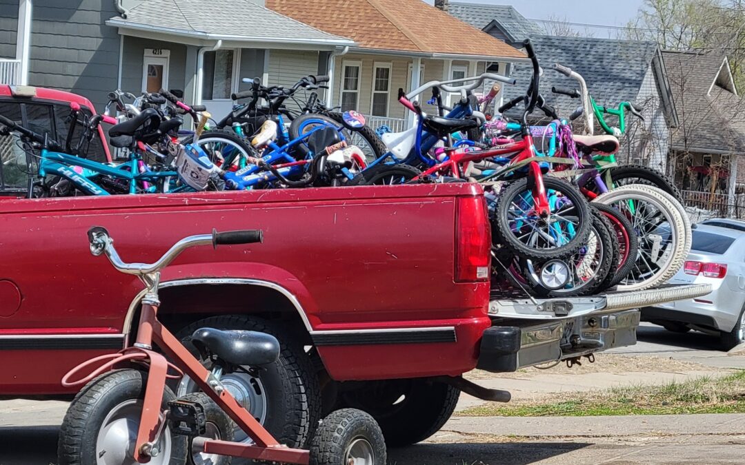 Papillion Bike Collection