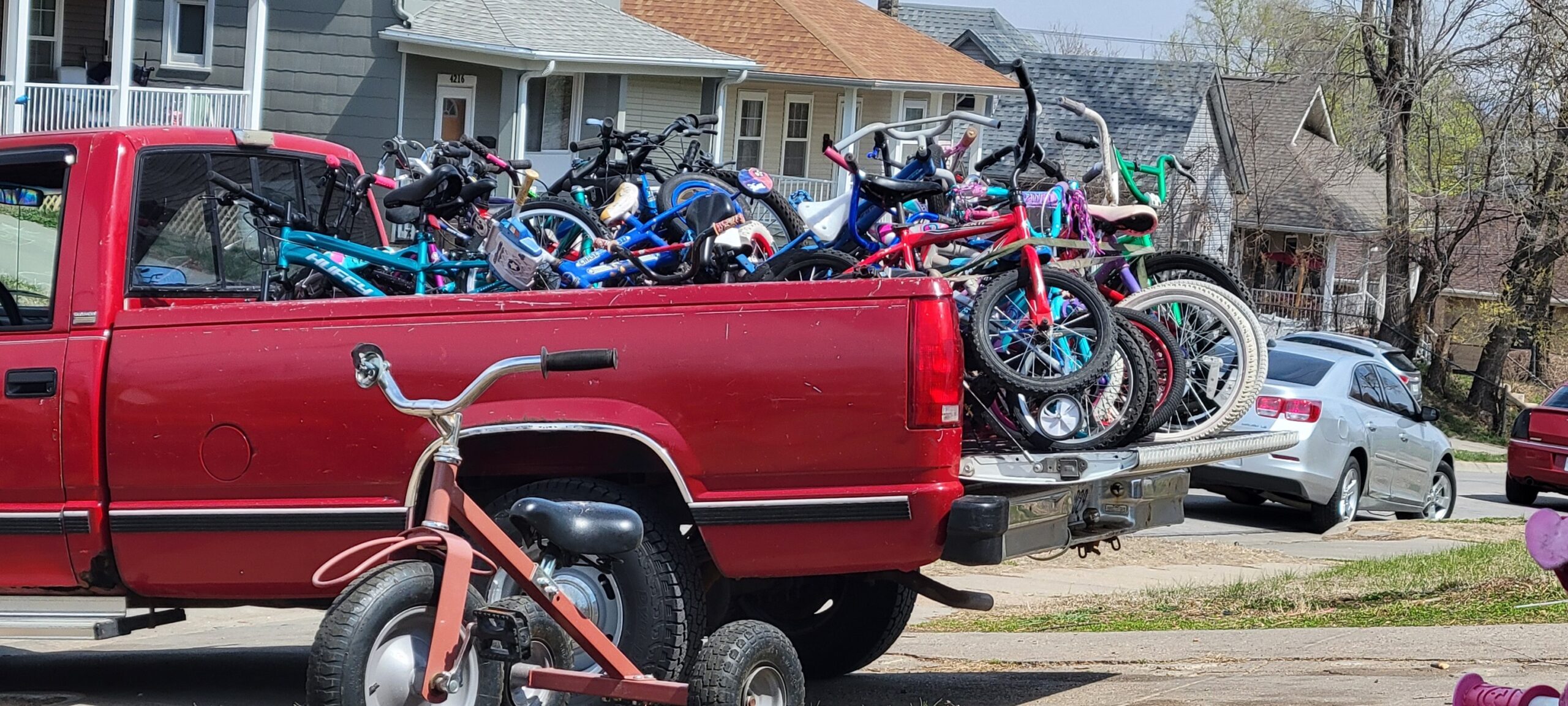 Papillion Bike Collection